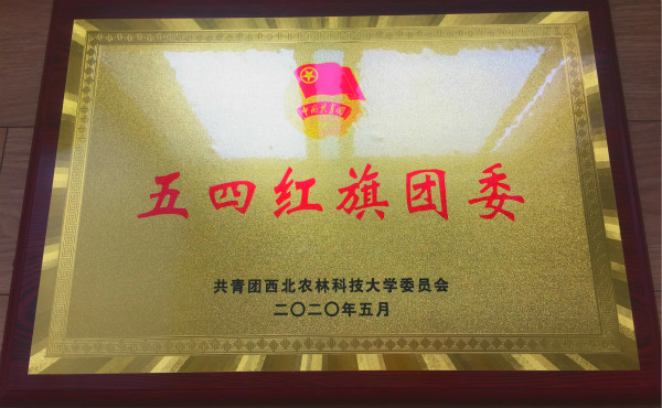 bef1b6b833d8426e85a0cd814a47e7ba.jpg