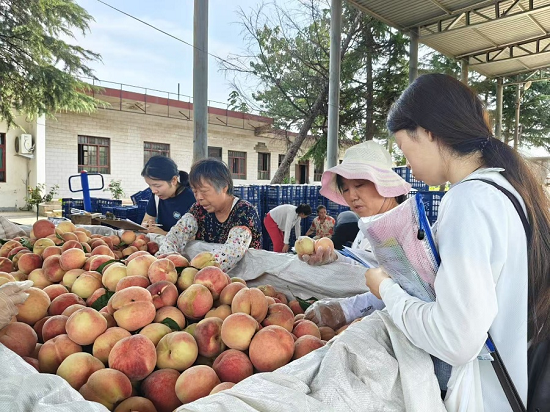图片07231.png